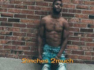 2inches_2much
