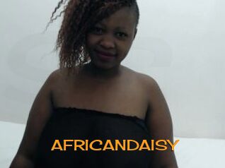 AFRICANDAISY