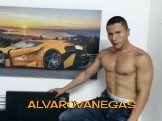 ALVAROVANEGAS Sortez Couvert