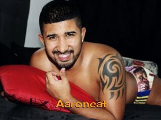 Aaroncat