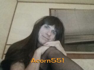 Acorn551
