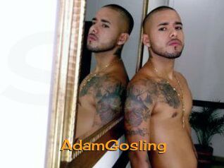 AdamGosling
