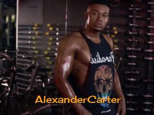 AlexanderCarter Sortez Couvert