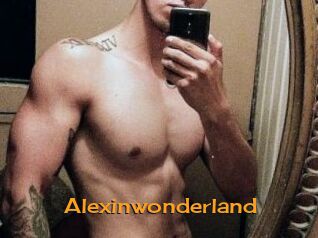 Alexinwonderland Sortez Couvert