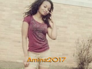 Amina2017