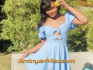 AminyanMacaron