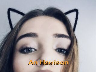 An_Harrison