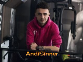 AndiSinner