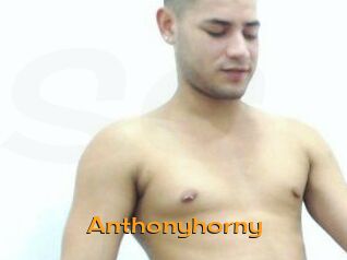 Anthonyhorny