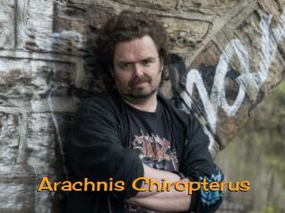 Arachnis_Chiropterus