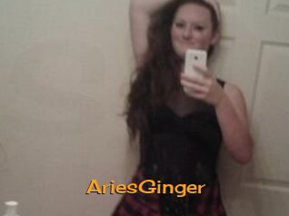 AriesGinger