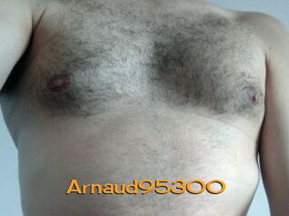 Arnaud95300