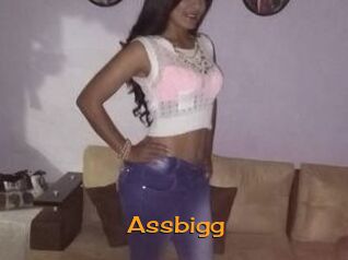 Assbigg