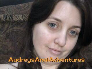 AudreysAnalAdventures