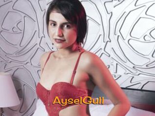 AyselGull
