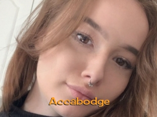 Accabodge