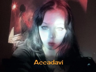 Accadavi