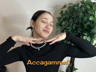 Accagammell