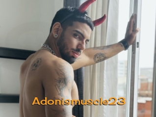Adonismuscle23