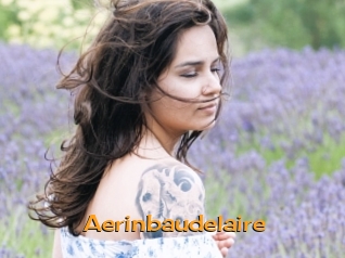 aerinbaudelaire Sortez Couvert