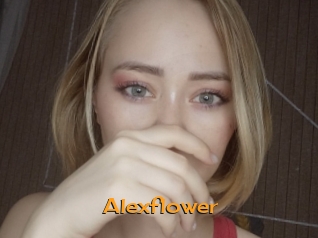 alexflower Sortez Couvert