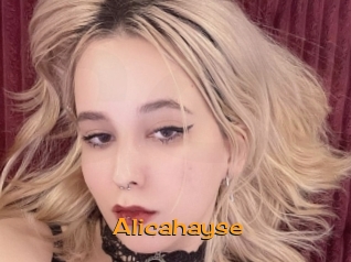 Alicahayse