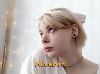 Alicebird