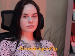 Alicedragonfly