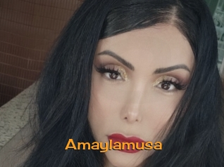 Amaylamusa