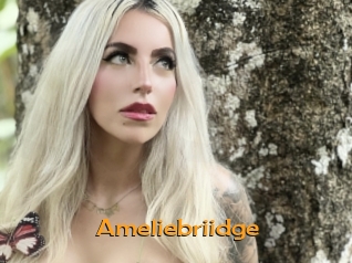 Ameliebriidge