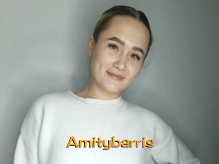 Amitybarris
