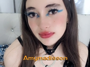 amymadisson Sortez Couvert