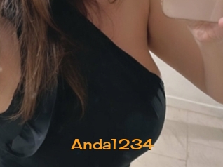Anda1234