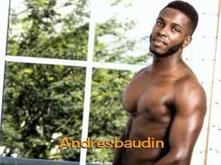 Andresbaudin