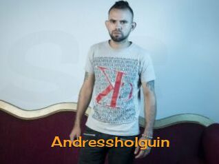 Andressholguin
