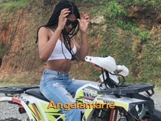 angelamarie Sortez Couvert