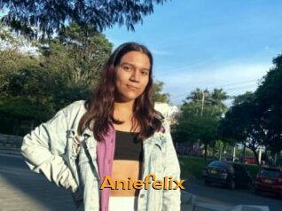 Aniefelix