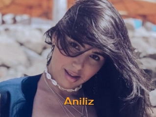 Aniliz