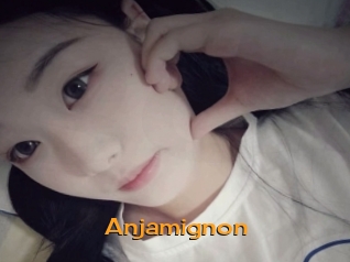 Anjamignon