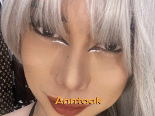 Anntook
