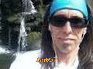 Ant67