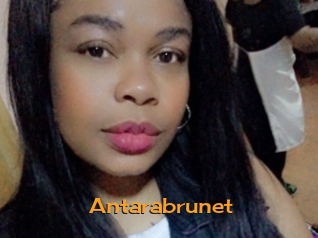Antarabrunet