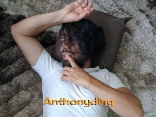 anthonyding Sortez Couvert