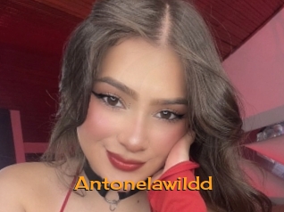 Antonelawildd