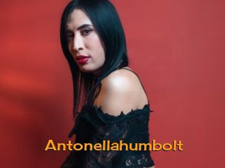 Antonellahumbolt