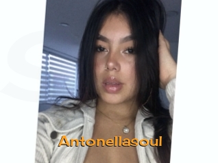 Antonellasoul