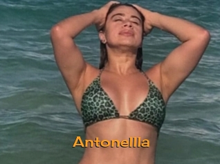 Antonellla