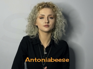 antoniabeese Sortez Couvert