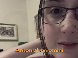 Antoniaborromini