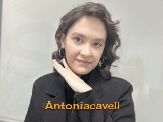 Antoniacavell